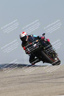 media/Mar-24-2025-2WTD (Mon) [[55b4b08488]]/A Group/11am (Outside Grapevine)/